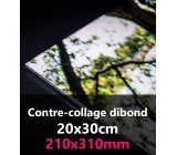CONTRE-COLLAGE DIBOND 20x30
