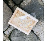 USB WOOD PLEXI